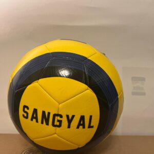 Soccer Ball FIFA Quality PRO Match Ball Size 5