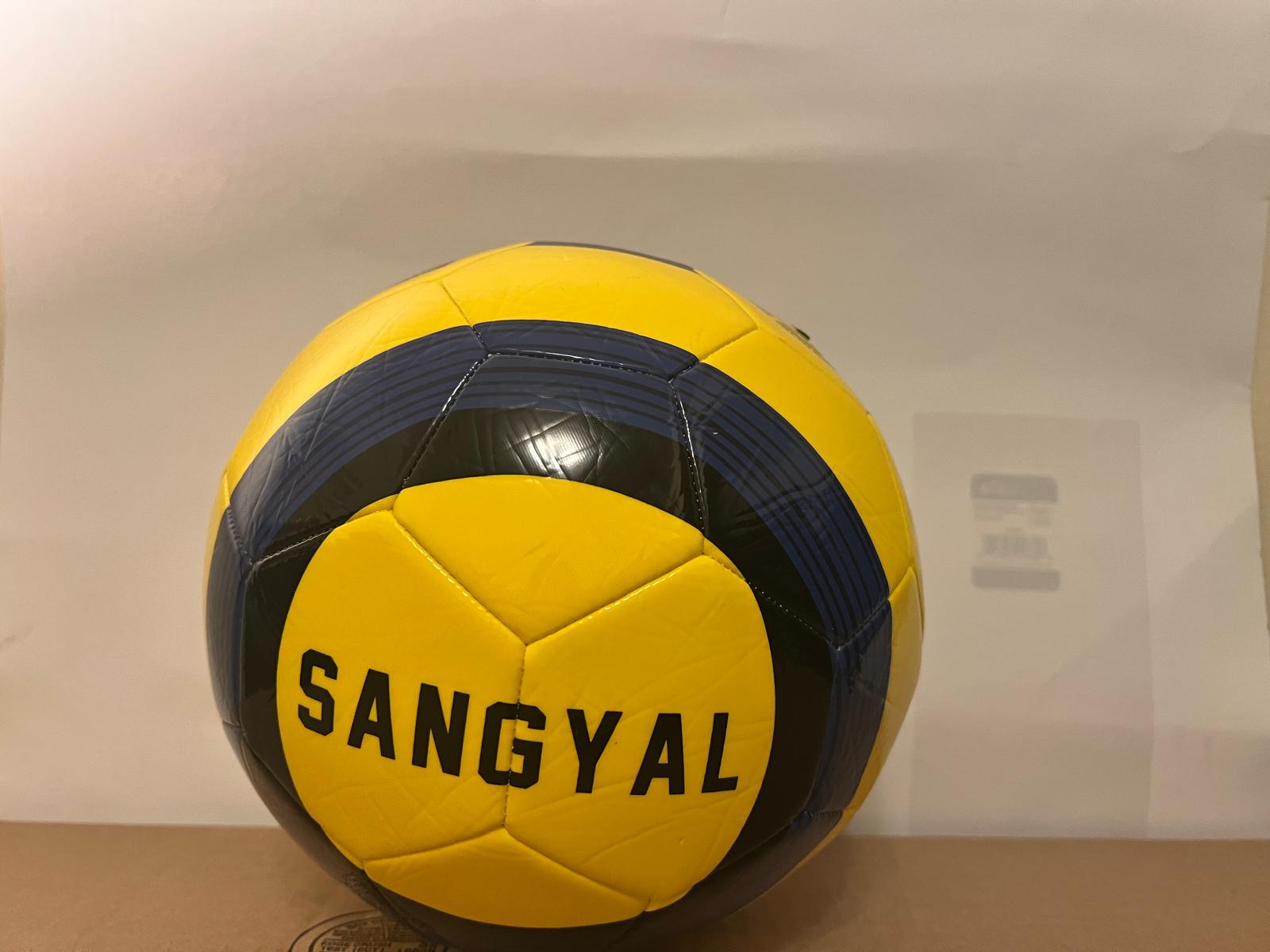 Soccer Ball FIFA Quality PRO Match Ball Size 5